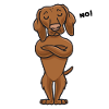 Sturer Magyar Vizsla dog funny