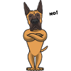 Sture Danois Dogue allemand
