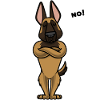 Sturer Malinois Chien berger belge