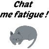 Chat me fatigue !