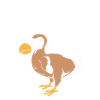 dodo