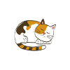 Sleeping Cat Funny Gift