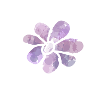 Blossom Flower