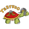 Testudo - The Roman Turtle