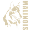 Malinois
