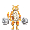 Cat Weightlifting CrossLifting Fitness
