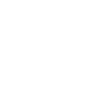 The White Dragon