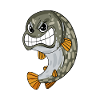 Brochet