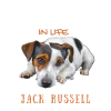 Süßer Jack-Russell-Spruch