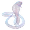 Cobra