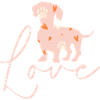 Dachshund Dachshund Dog