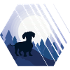 Teckel chien de toit