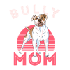 amerikansk bølle, amerikansk bølle pitbull, hund,