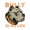 amerikansk bølle, amerikansk bølle pitbull mor, tyr,