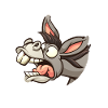 Funny Donkey Donkey Mule