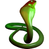 Cobra