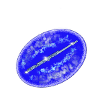 Transversale 2