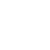Social Media Queen