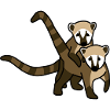 Coati animal t-shirt