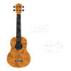 Musiciens élèves de mathématiques Enseignement
