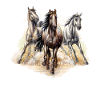 horses