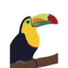 Timmy the Toucan