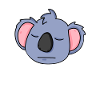 Koala Kopf