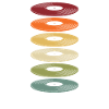 Rétro Vinyle Collectionneur de disques