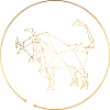 Zodiac sign Taurus Taurus