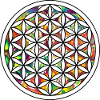 Flower of life
