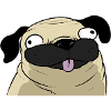 Pug