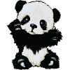 Baby panda