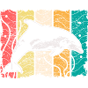 Delphin 100 plongée