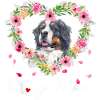 Bernese Mountain Dog