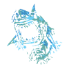 shark