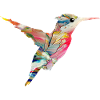 Kolibri fågel flyga djur naturfåglar färgglada nektar