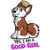 Good Girl Husky
