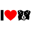 I Heart Border Collie
