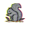 squirrel