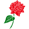 Red Rose