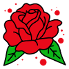 Red Rose