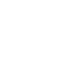Caretaker Janitor