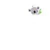 Koala Design