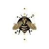 Entomology Insect Entomologist