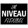 Funny saying level