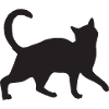 Katze