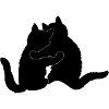 Chat pauvre en pauvre