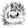 wolf,grey,dog, shepherd dog,dog, painting,graffiti
