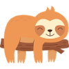 Tired sloth