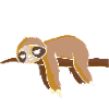 Chill times sloth